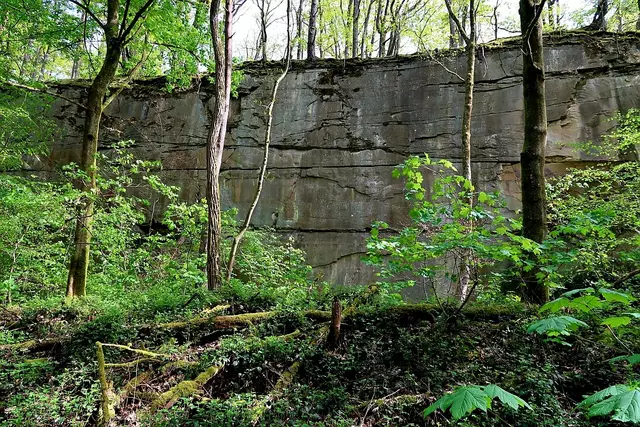 Foto: Eduard Warenik