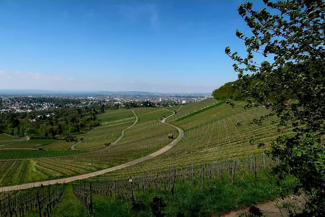 Foto: Eduard Warenik