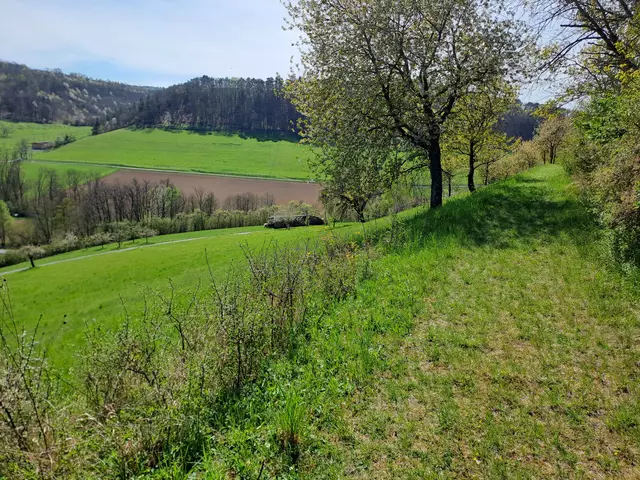 Allein/ "Auslaufen" unterwegs zwischen Unterginsbach und Altkrautheim | Foto: Andreas Odey