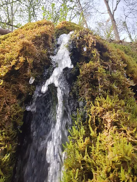 kleiner Wasserfall und Kalktuffbildung | Foto: Andreas Odey