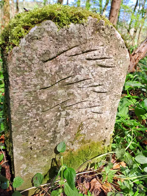 Dort, wo die Jagst den nördlichsten Schlenker macht, grenzt
Württemberg an den badischen Landesteil | Foto: Andreas Odey