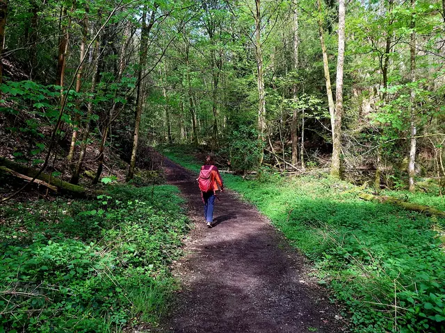 Foto: Eduard Warenik