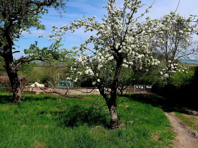 Foto: Eduard Warenik