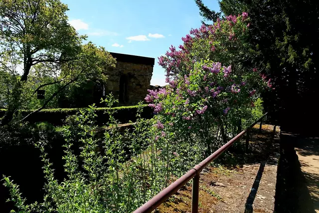 Foto: Eduard Warenik