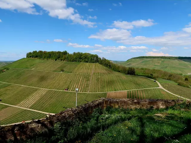 Foto: Eduard Warenik