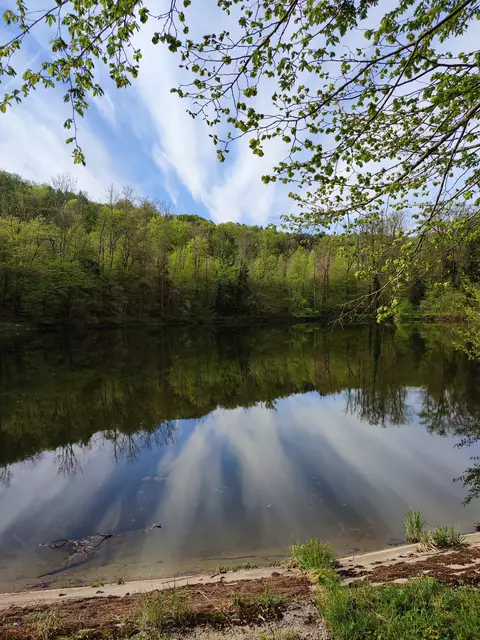 Stadtsee Weinsberg | Foto: Aurelia Kling