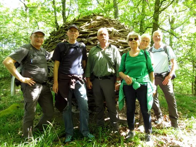 Diese große Astkugel war mal ein Nest, das drohte aber abzurutschen und wurde deshalb weiter oben umgebaut | Foto: WandernGabyErich