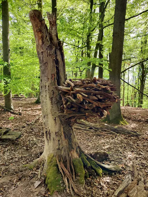 Das neueste Kunstwerk - Zufallsfund | Foto: Aurelia Kling