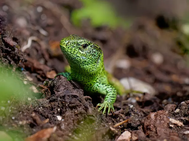 Foto: Eigenes Bild TB