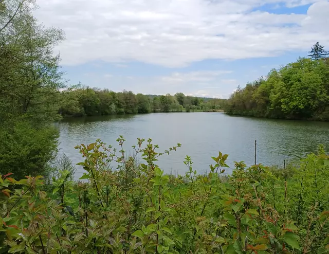 der Michelbachsee | Foto: E. Rosendorf