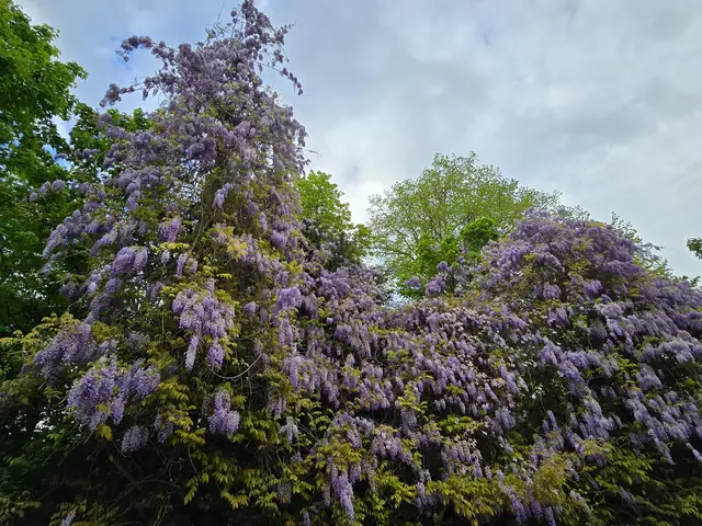 Foto: Heidrun Rosenberger