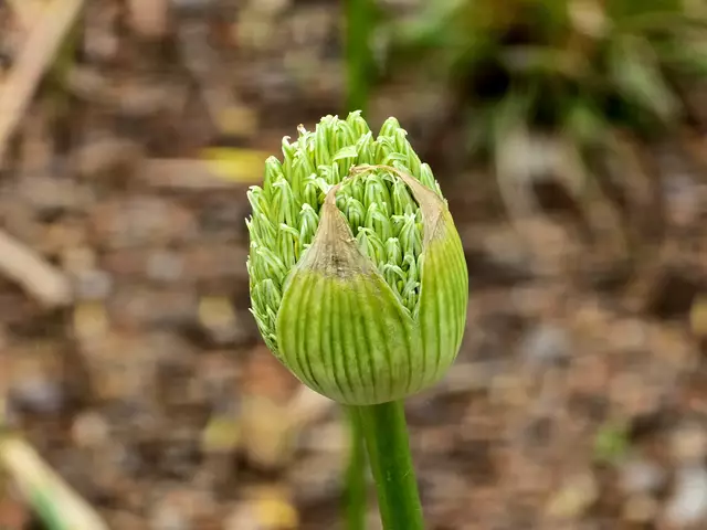 Foto: Heidrun Rosenberger