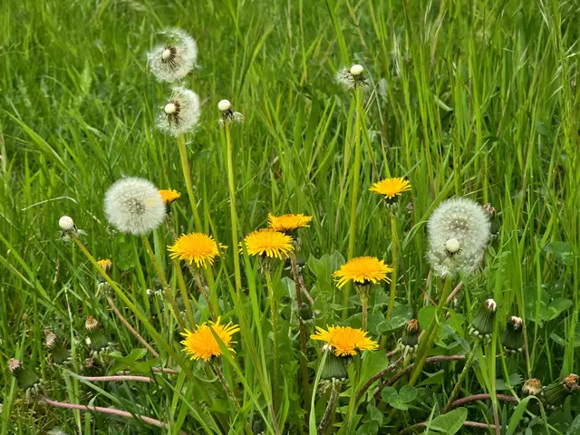 Foto: Heidrun Rosenberger