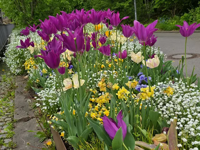 Foto: Heidrun Rosenberger