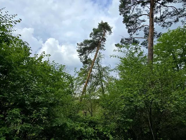 Hart im Wind.  | Foto: Heidrun Rosenberger
