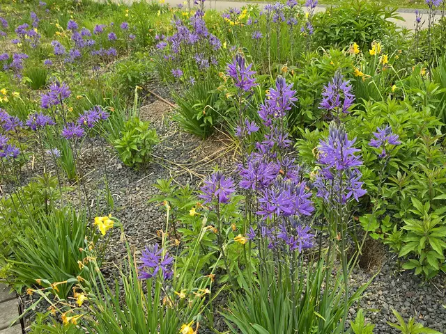 Foto: Heidrun Rosenberger