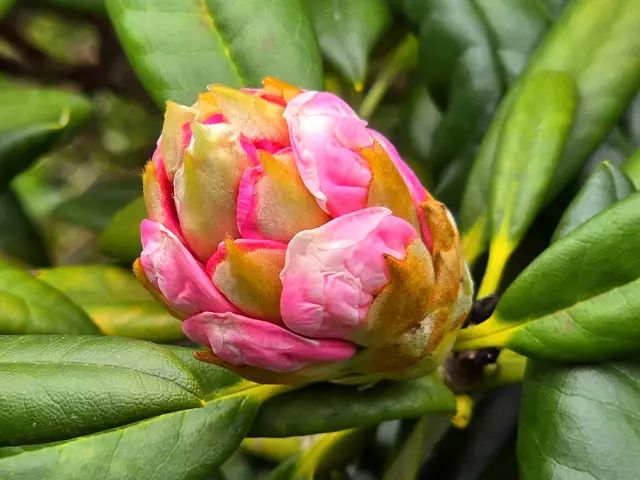 Foto: Heidrun Rosenberger