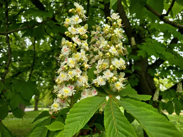Foto: Heidrun Rosenberger