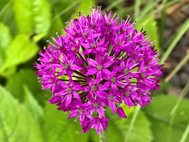 Foto: Heidrun Rosenberger