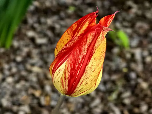 Foto: Heidrun Rosenberger