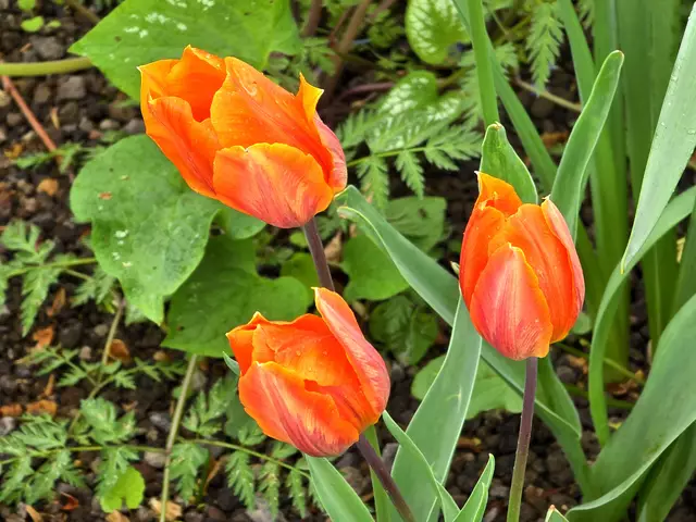 Foto: Heidrun Rosenberger
