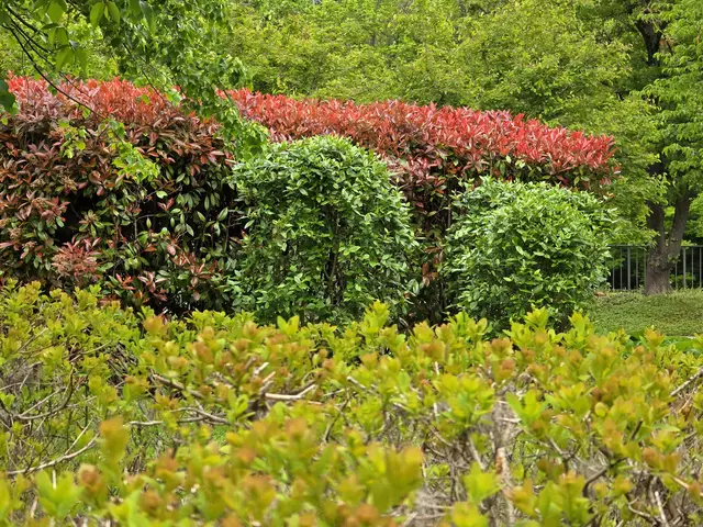 Foto: Heidrun Rosenberger