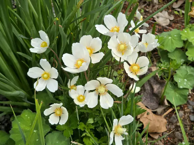 Foto: Heidrun Rosenberger