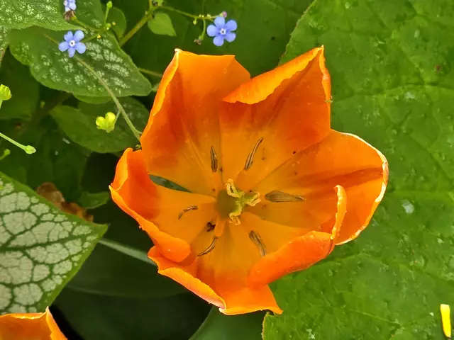 Foto: Heidrun Rosenberger