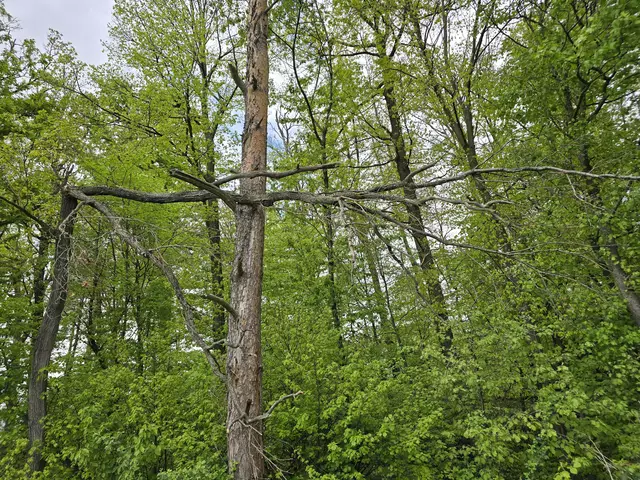 Schön wenn man jemanden hat, der einen auffängt. | Foto: Heidrun Rosenberger