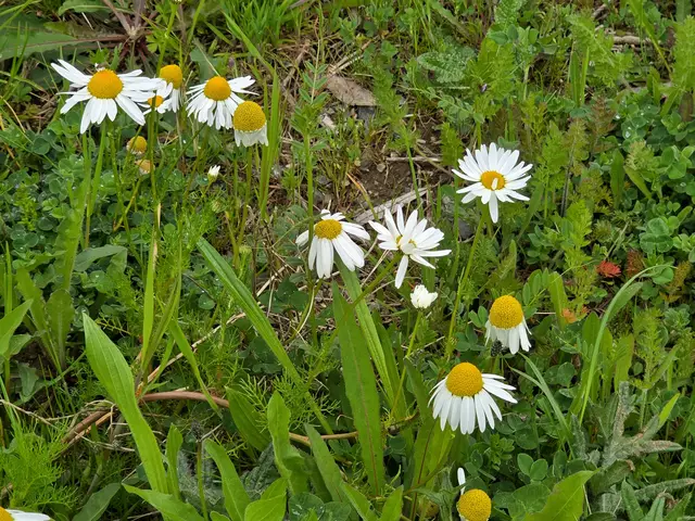 Foto: Heidrun Rosenberger