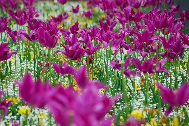 Foto: Heidrun Rosenberger