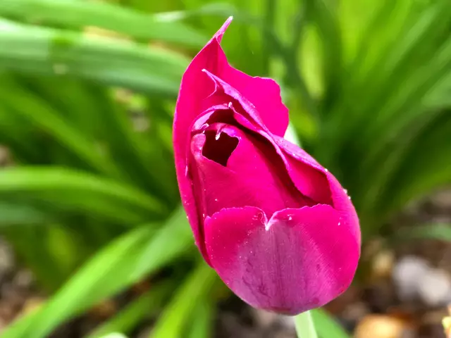 Foto: Heidrun Rosenberger
