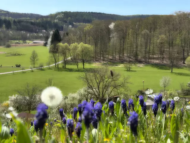 Im Wiesental (Weinsberg) | Foto: Moni Bordt