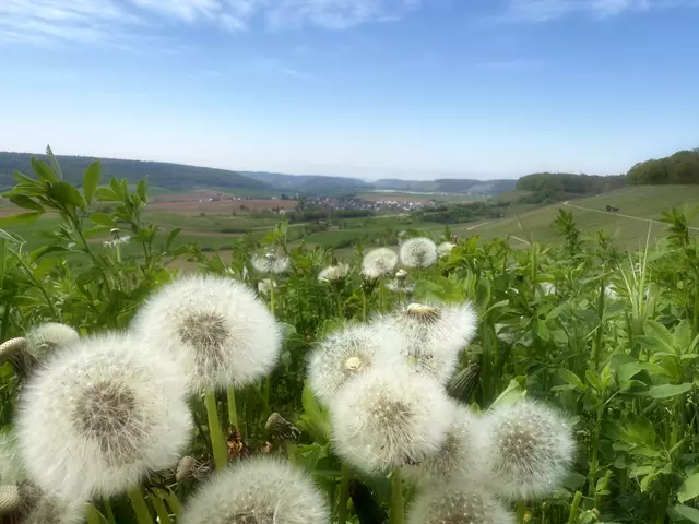Blick über Eberstadt zum Weinsberger Sattel | Foto: Moni Bordt
