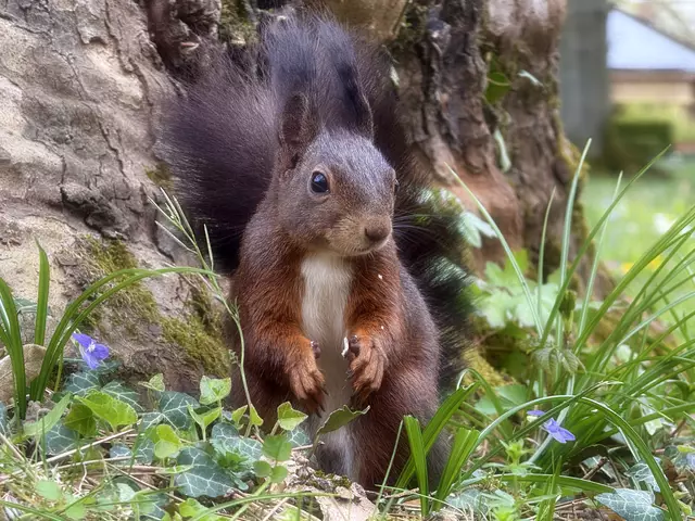 Unter dem Lieblingsbaum auf dem Heilbronner Friedhof | Foto: Moni Bordt