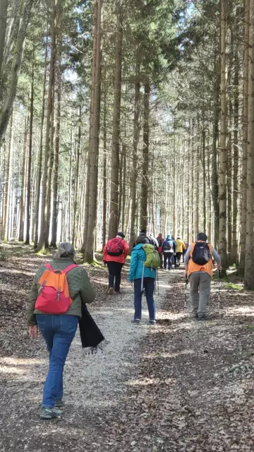 Wandern durch dern Wald | Foto: Christina Hansel