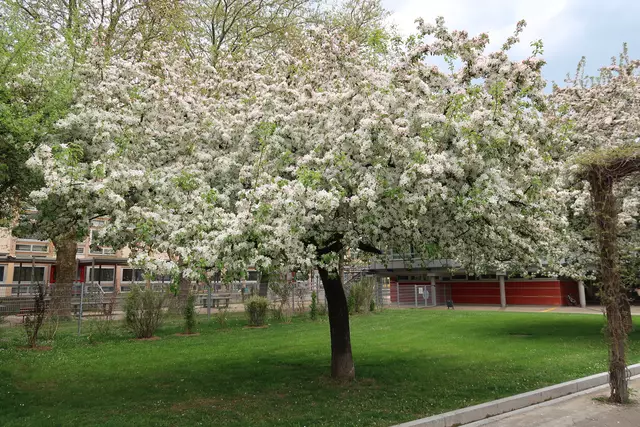 Foto: Eduard Warenik