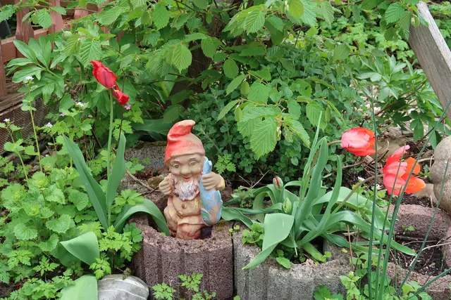 Foto: Eduard Warenik