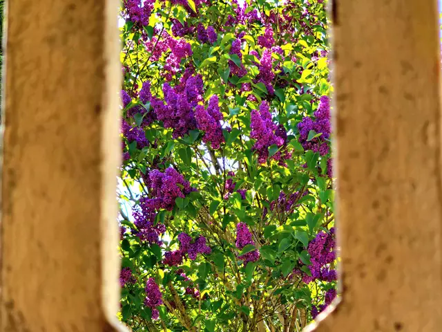 Foto: Heidrun Rosenberger