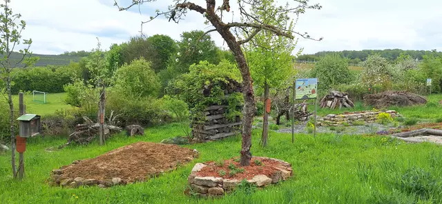 Foto: Monika Breusch