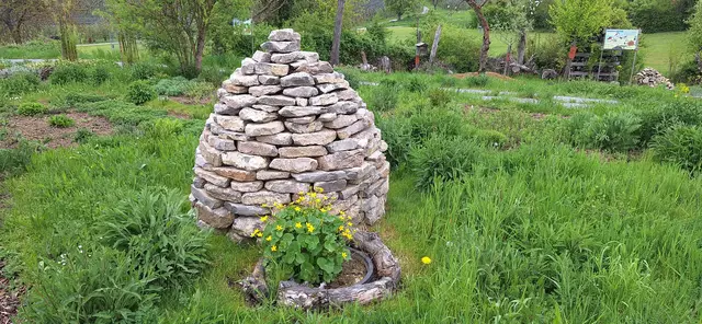 Foto: Monika Breusch