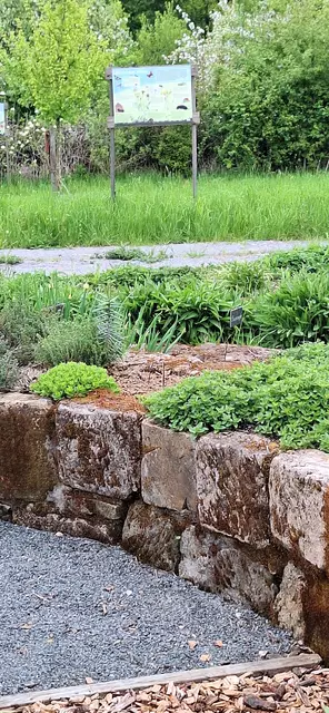 Foto: Monika Breusch