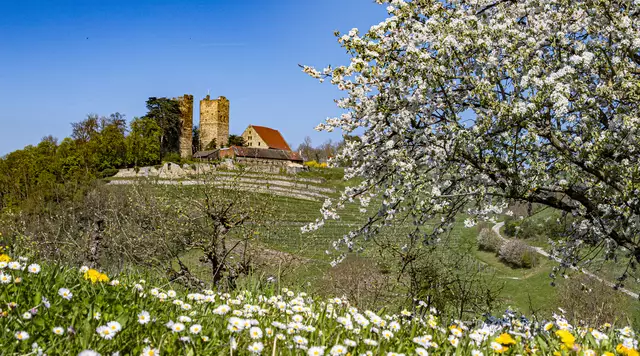 So schön ist es... bei Neipperg: So hat Heimatreporter Erwin Weigend sein Foto überschrieben. Das meine.stimme-Team hat es zum Bild des Monats gekürt. | Foto: Erwin Weigend
