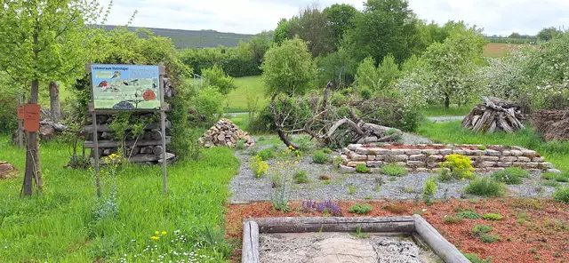 Monika Breusch | Foto: Monika Breusch