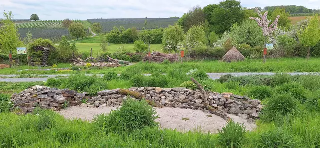 Foto: Monika Breusch