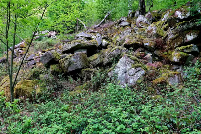 Foto: Eduard Warenik
