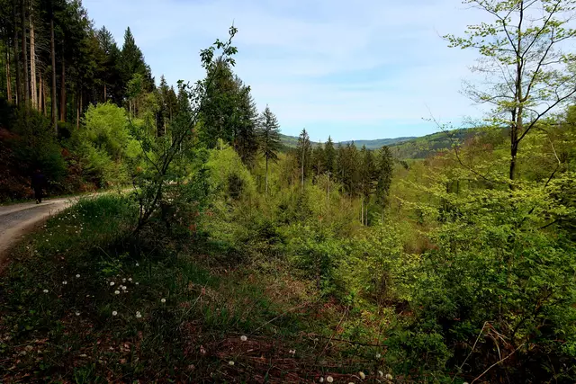 Foto: Eduard Warenik