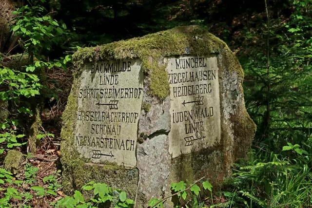 Foto: Eduard Warenik