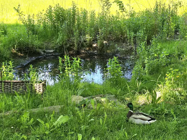 Foto: Heidrun Rosenberger