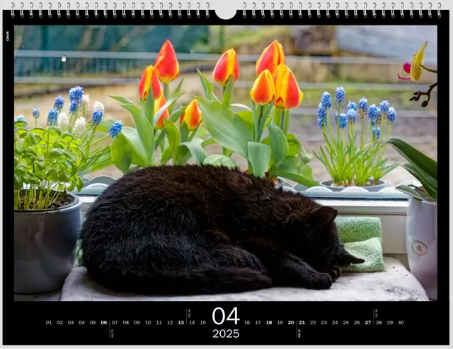 Powernap | Foto: WKY